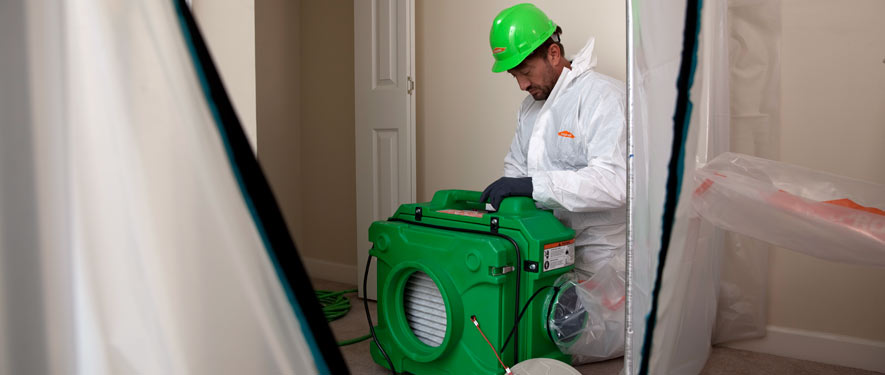 Moreno Valley, CA mold cleanup