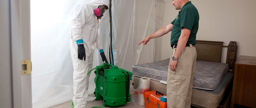 Moreno Valley, CA mold removal process